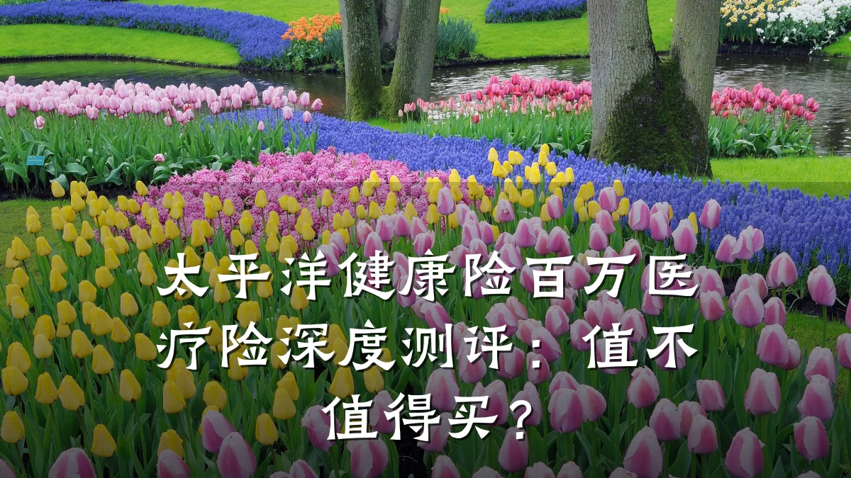太平洋健康险百万医疗险深度测评:值不值得买?