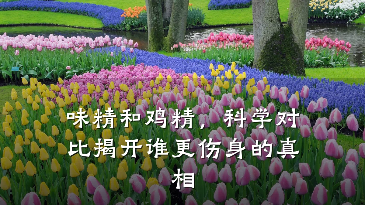 味精和鸡精,科学对比揭开谁更伤身的真相