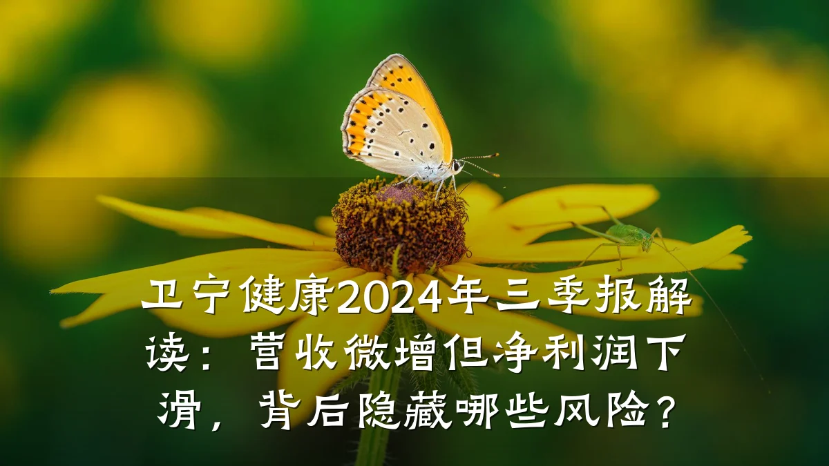 卫宁健康2024年三季报解读:营收微增但净利润下滑,背后隐藏哪些风险?