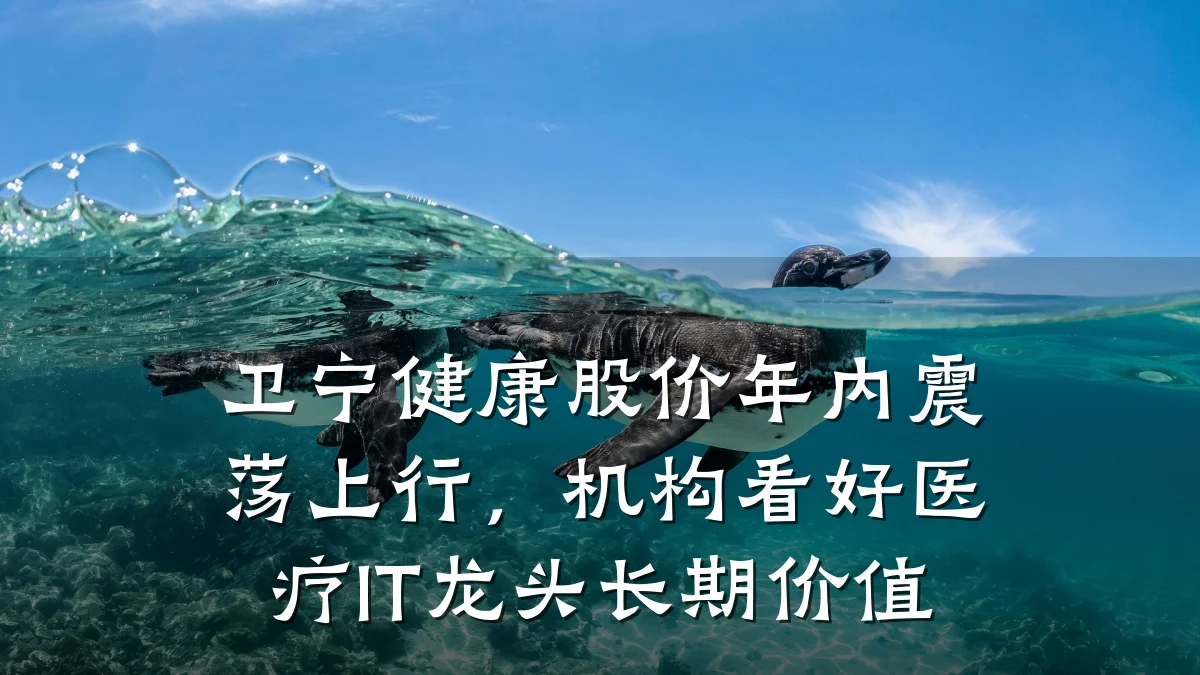 卫宁健康股价年内震荡上行,机构看好医疗IT龙头长期价值