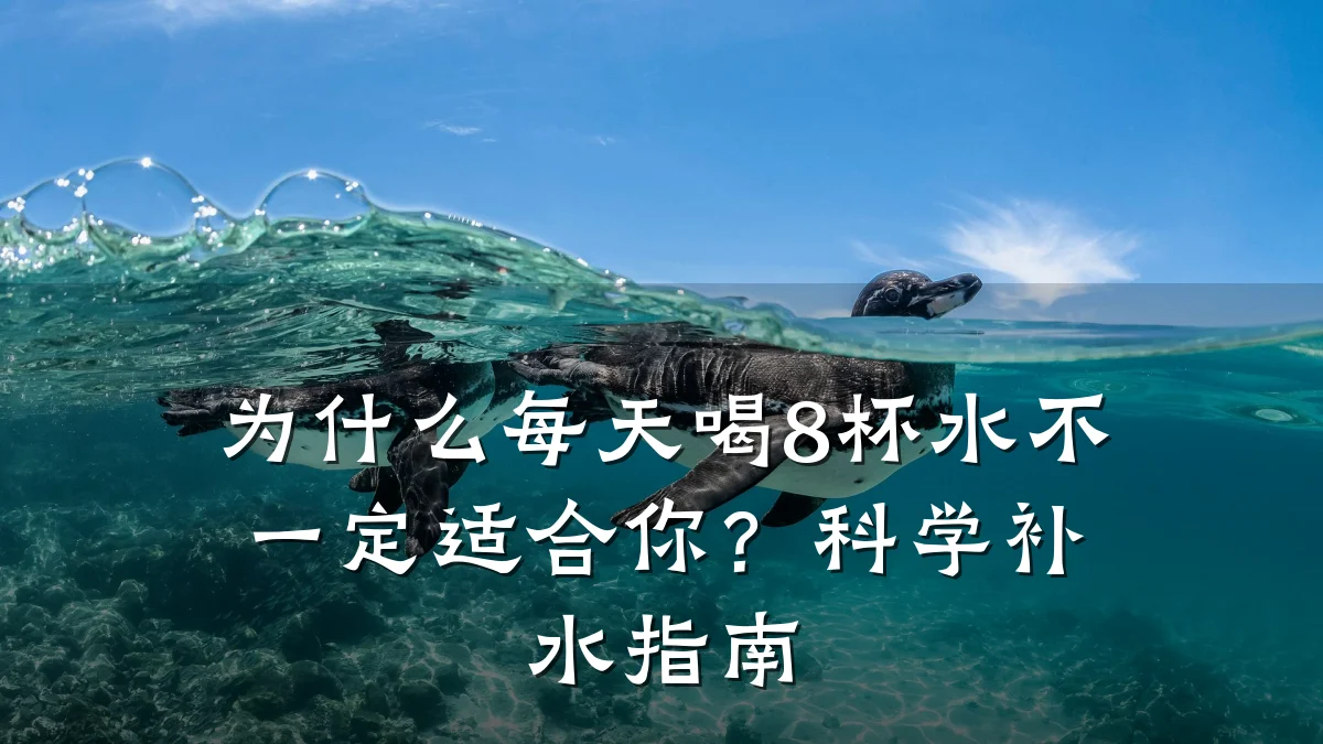 为什么每天喝8杯水不一定适合你?科学补水指南