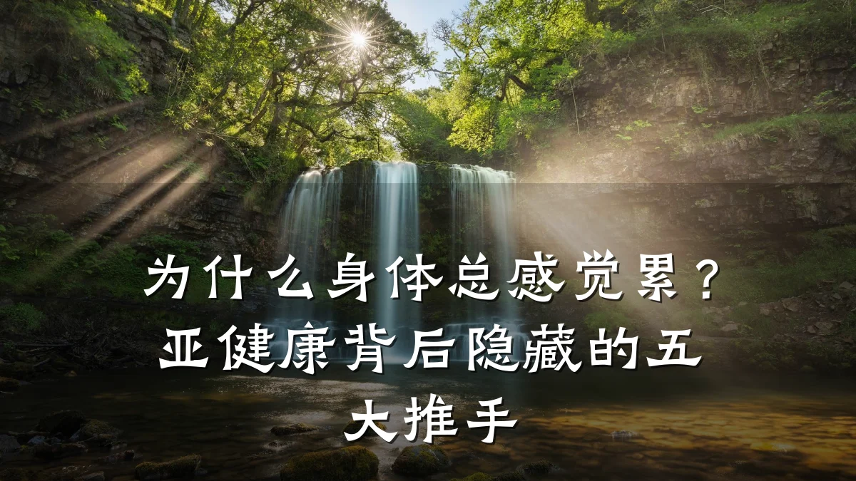 为什么身体总感觉累?亚健康背后隐藏的五大推手
