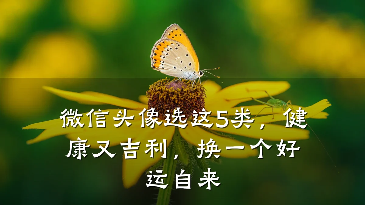 微信头像选这5类,健康又吉利,换一个好运自来