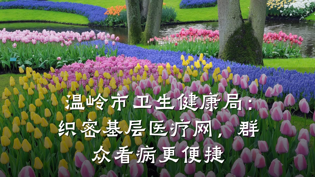 温岭市卫生健康局:织密基层医疗网,群众看病更便捷
