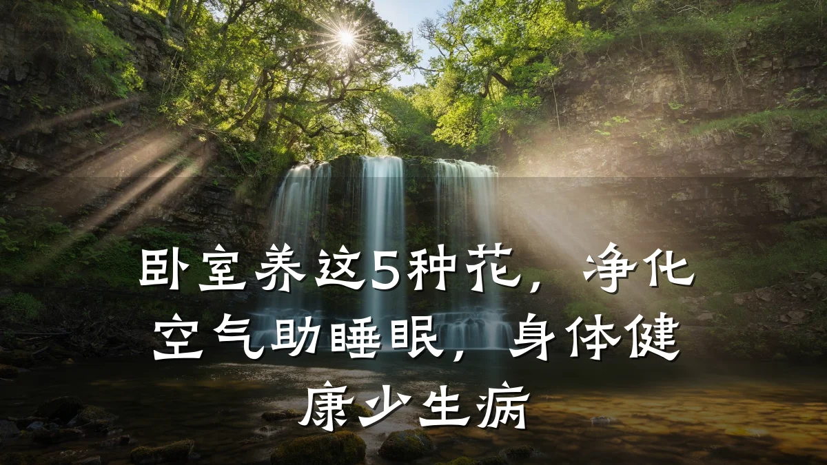 卧室养这5种花，净化空气助睡眠，身体健康少生病
