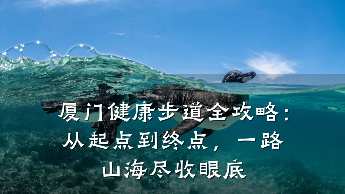 厦门健康步道全攻略:从起点到终点,一路山海尽收眼底