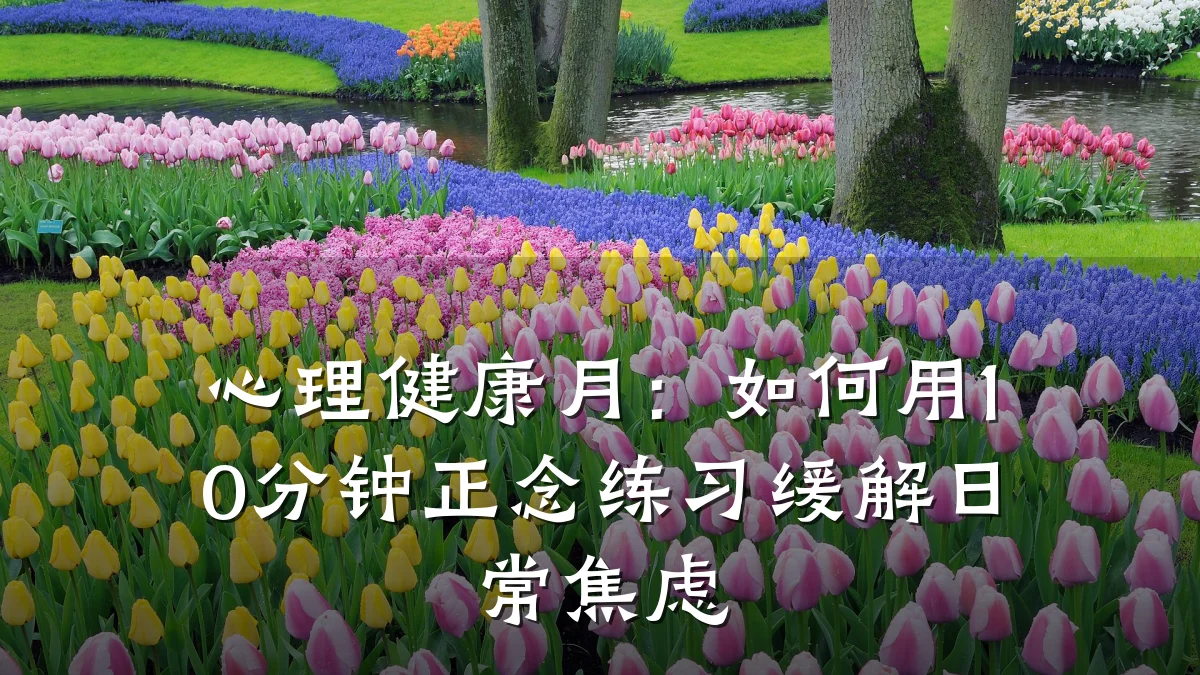 心理健康月:如何用10分钟正念练习缓解日常焦虑