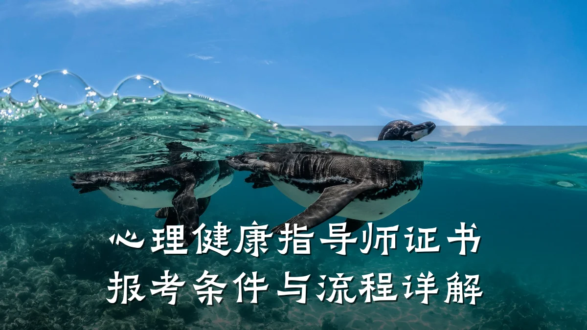 心理健康指导师证书报考条件与流程详解
