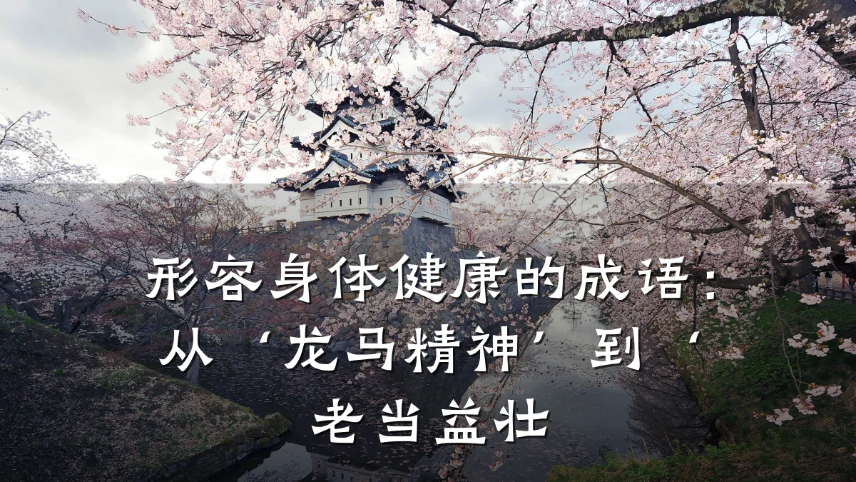 形容身体健康的成语:从‘龙马精神’到‘老当益壮