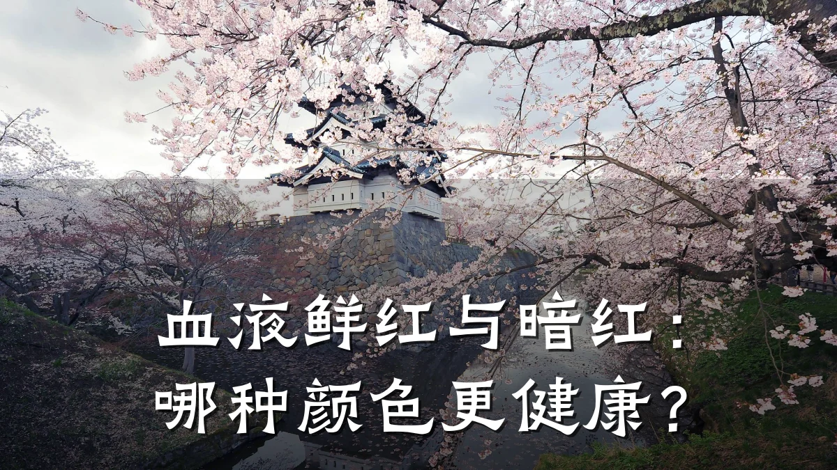 血液鲜红与暗红:哪种颜色更健康?