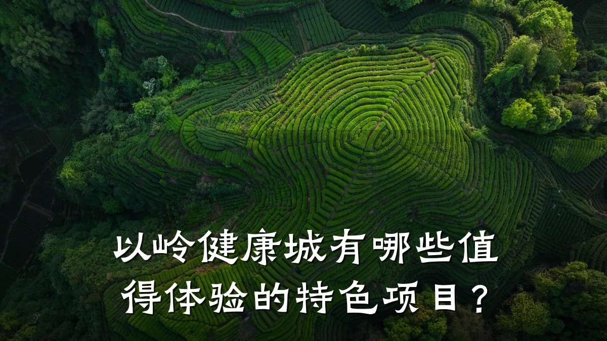 以岭健康城有哪些值得体验的特色项目?