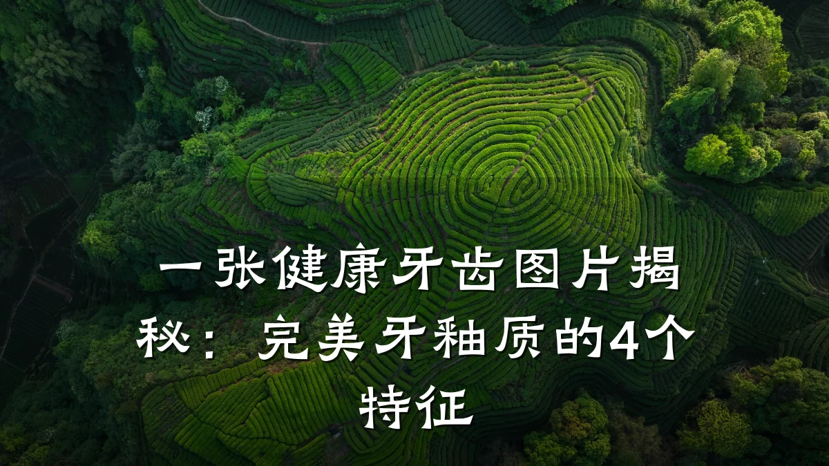 一张健康牙齿图片揭秘:完美牙釉质的4个特征