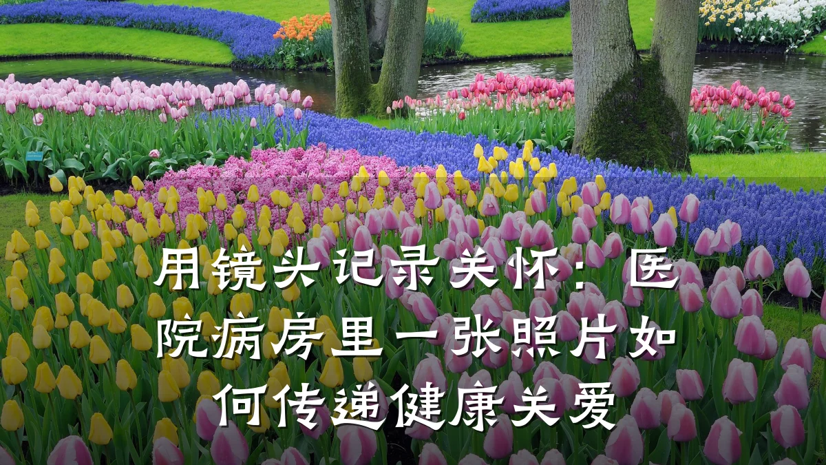 用镜头记录关怀:医院病房里一张照片如何传递健康关爱