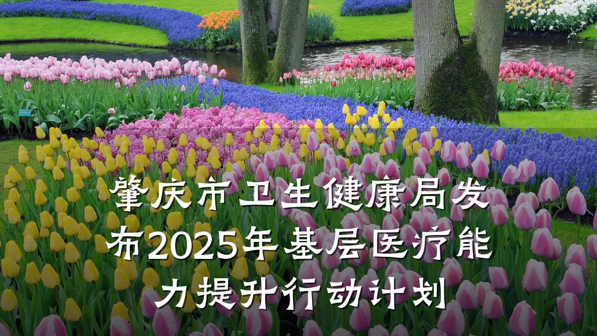 肇庆市卫生健康局发布2025年基层医疗能力提升行动计划