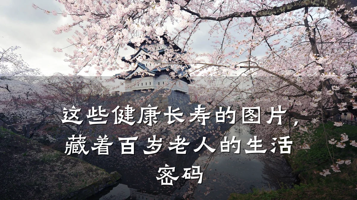 这些健康长寿的图片,藏着百岁老人的生活密码