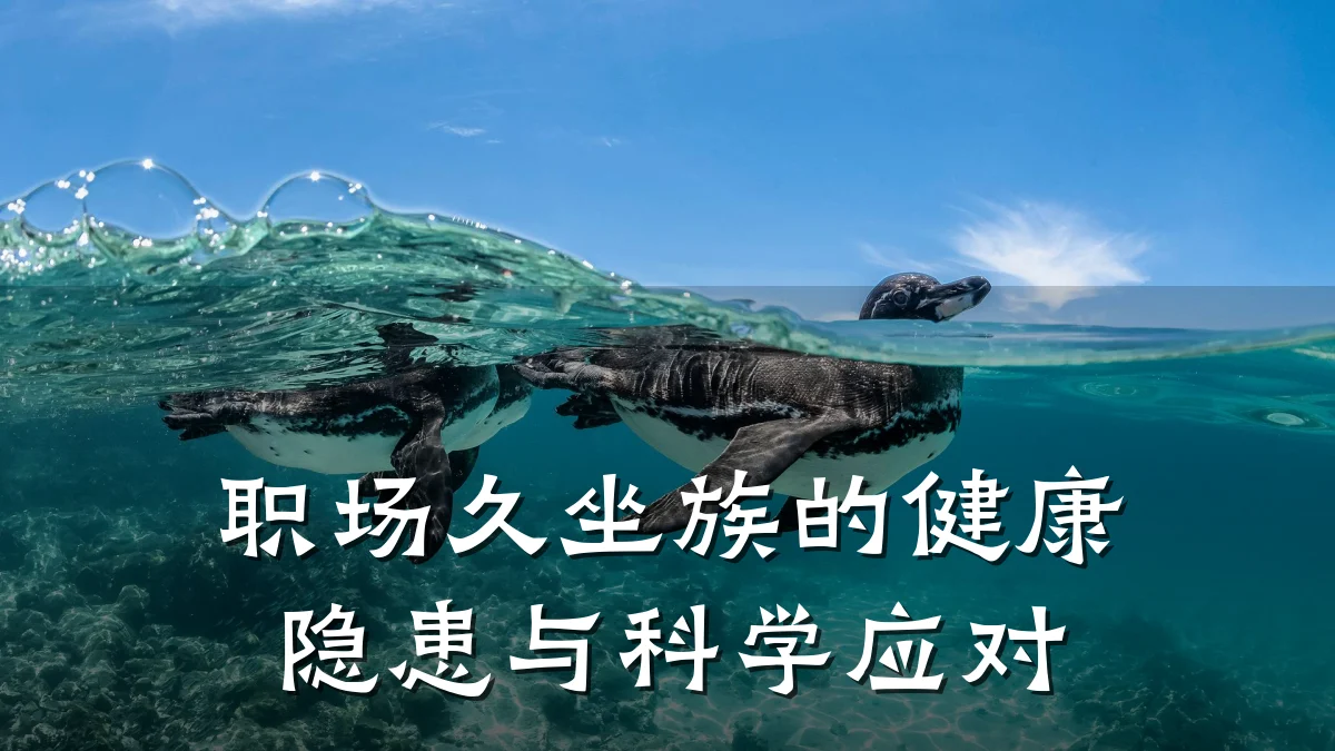 职场久坐族的健康隐患与科学应对