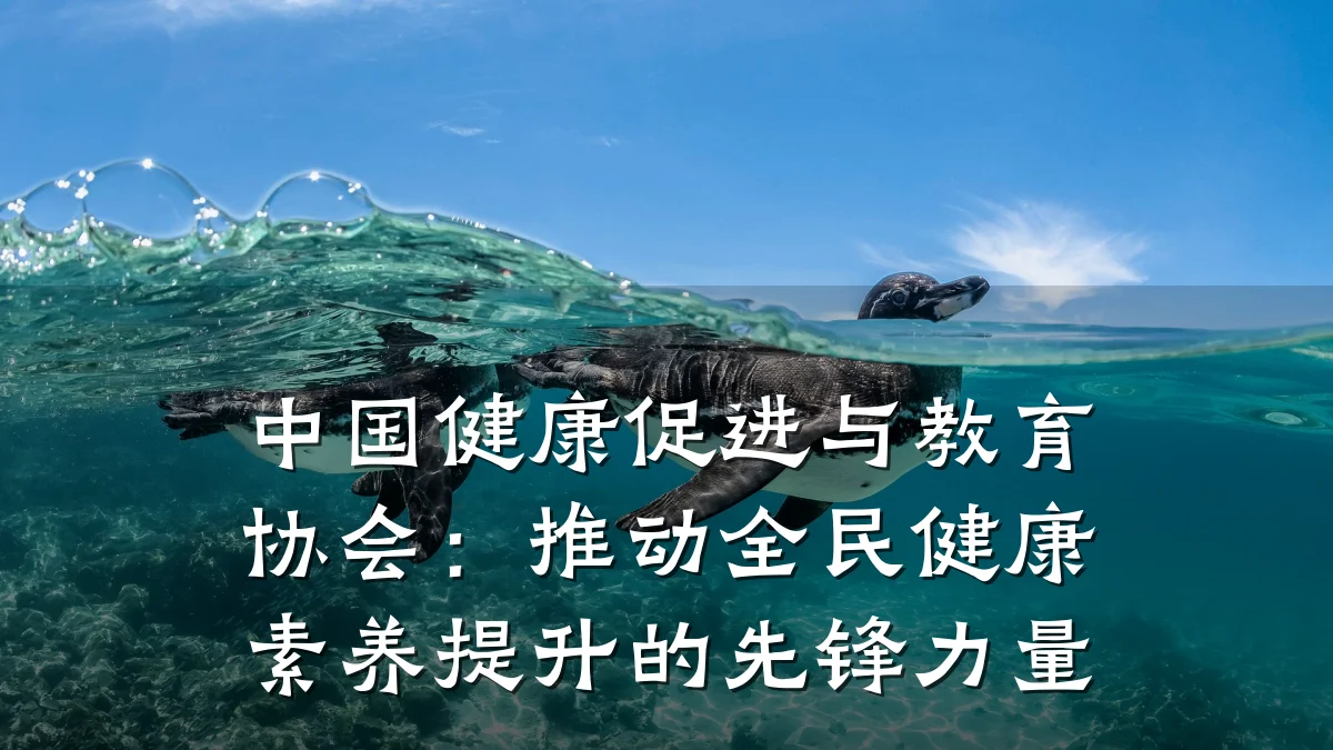 中国健康促进与教育协会:推动全民健康素养提升的先锋力量
