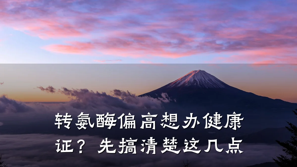 转氨酶偏高想办健康证?先搞清楚这几点