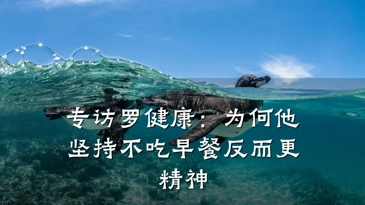 专访罗健康:为何他坚持不吃早餐反而更精神