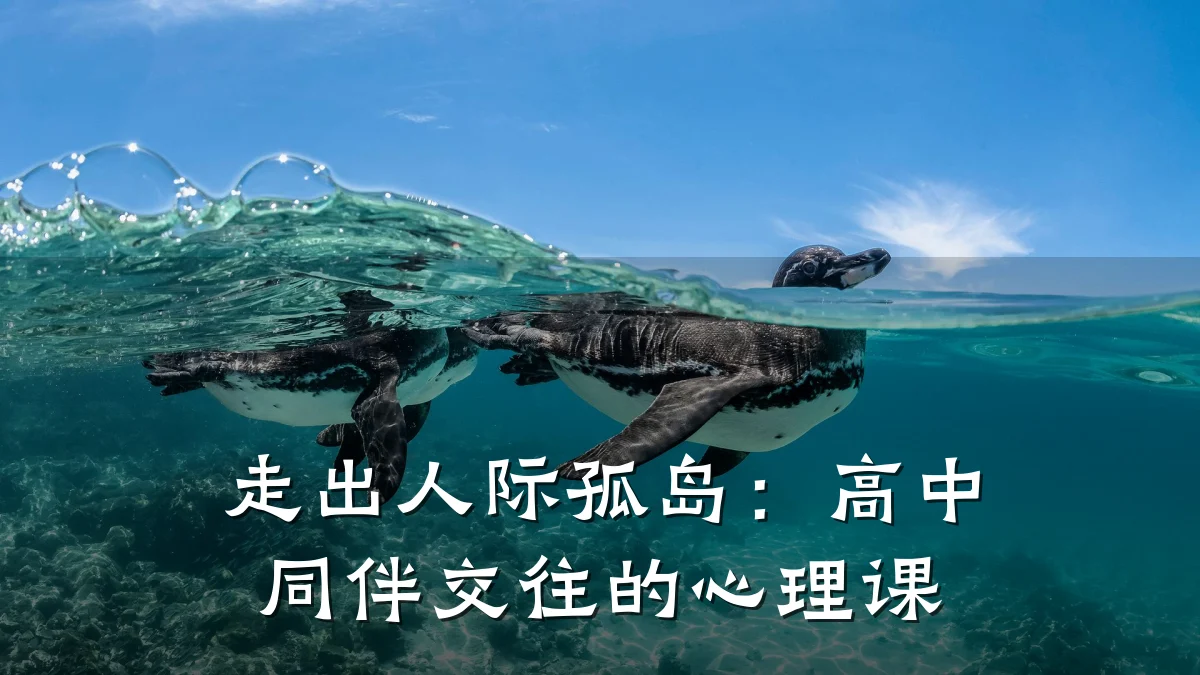 走出人际孤岛:高中同伴交往的心理课