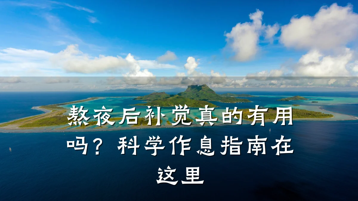 熬夜后补觉真的有用吗?科学作息指南在这里