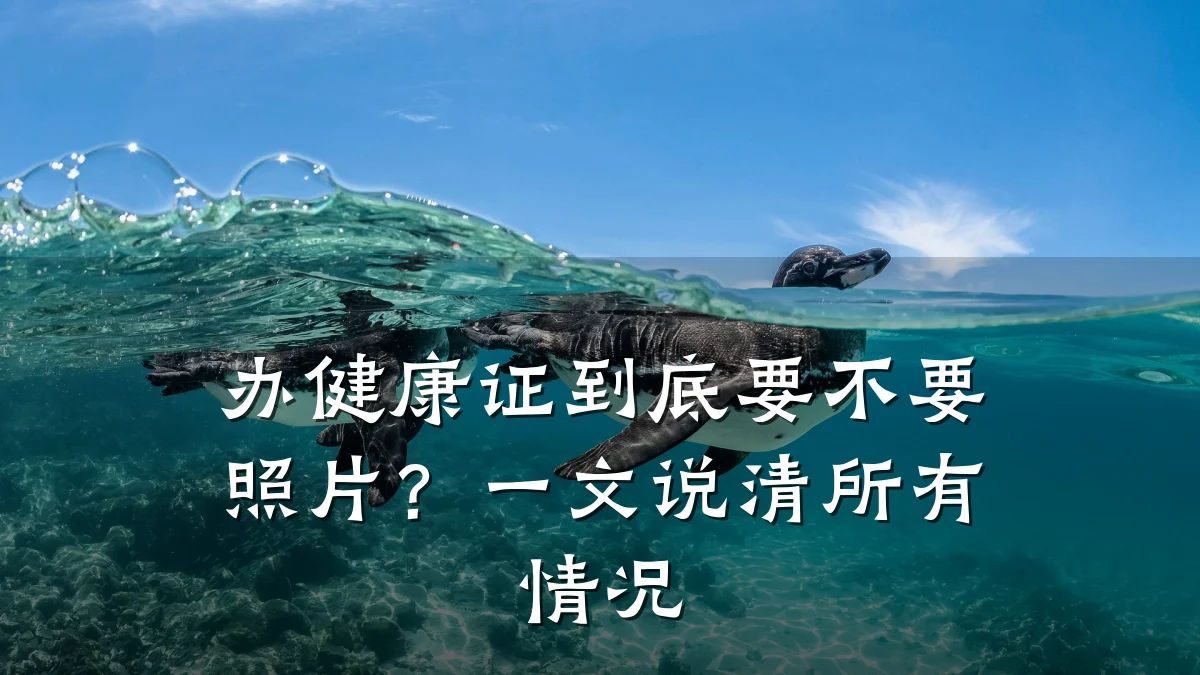 办健康证到底要不要照片?一文说清所有情况
