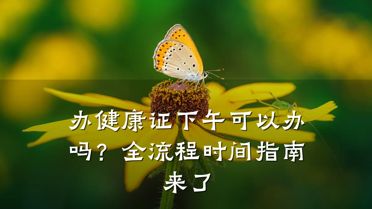 办健康证下午可以办吗?全流程时间指南来了