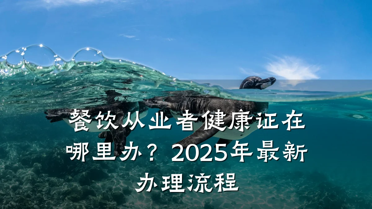 餐饮从业者健康证在哪里办?2025年最新办理流程