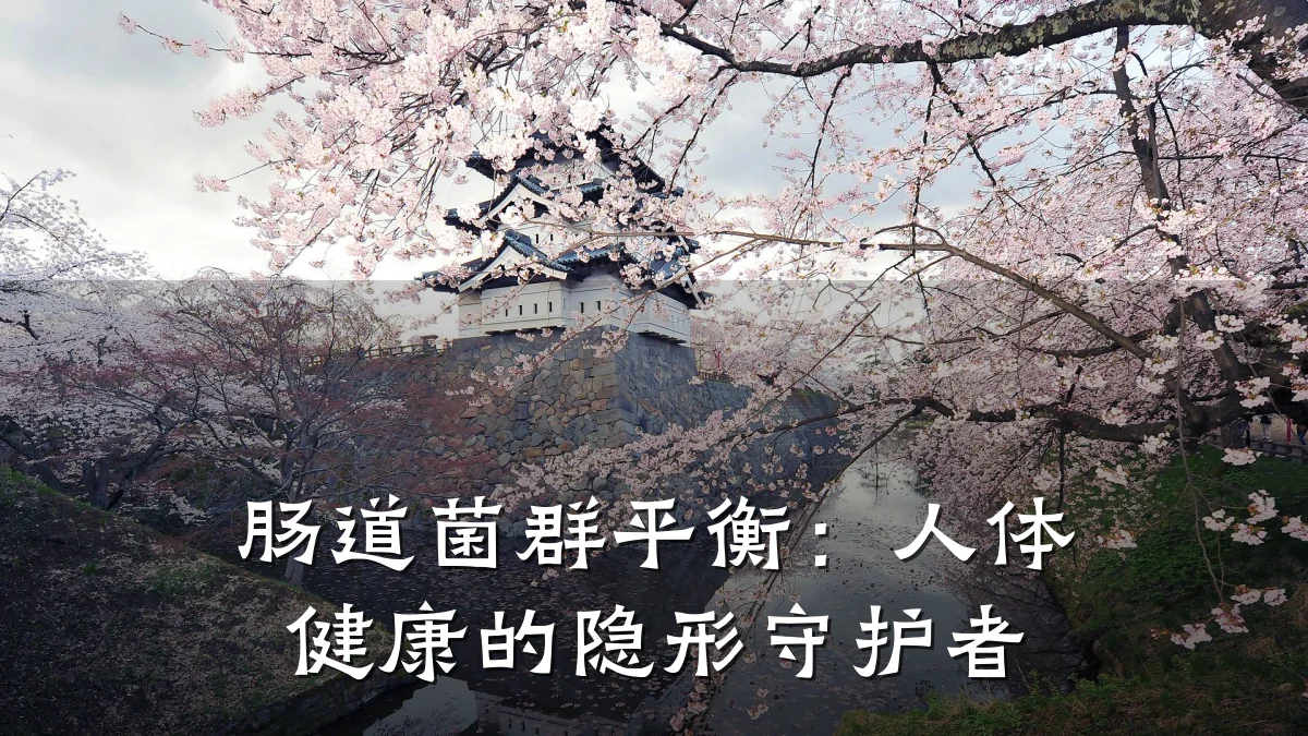 肠道菌群平衡:人体健康的隐形守护者