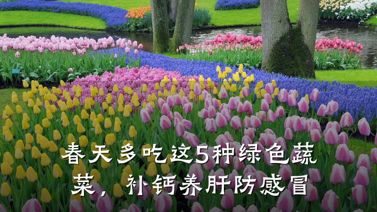 春天多吃这5种绿色蔬菜,补钙养肝防感冒