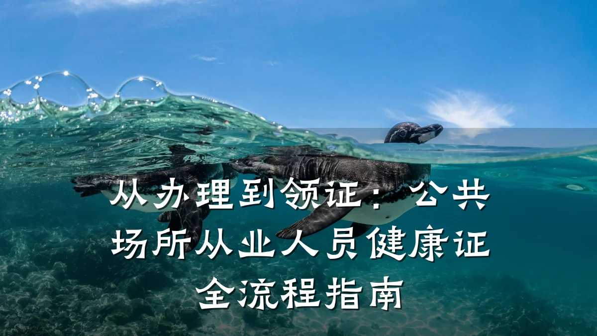从办理到领证:公共场所从业人员健康证全流程指南