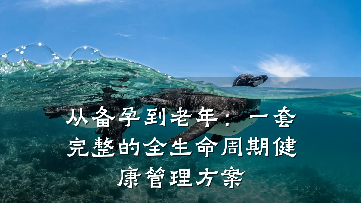 从备孕到老年:一套完整的全生命周期健康管理方案