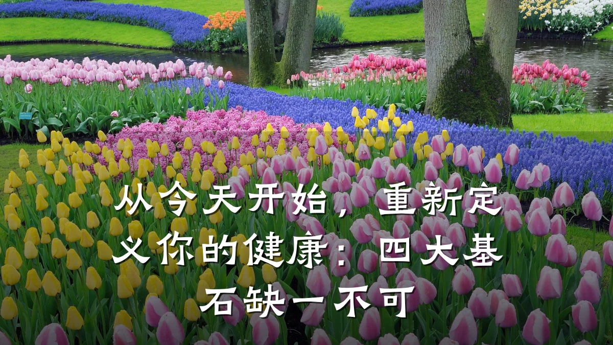 从今天开始,重新定义你的健康:四大基石缺一不可