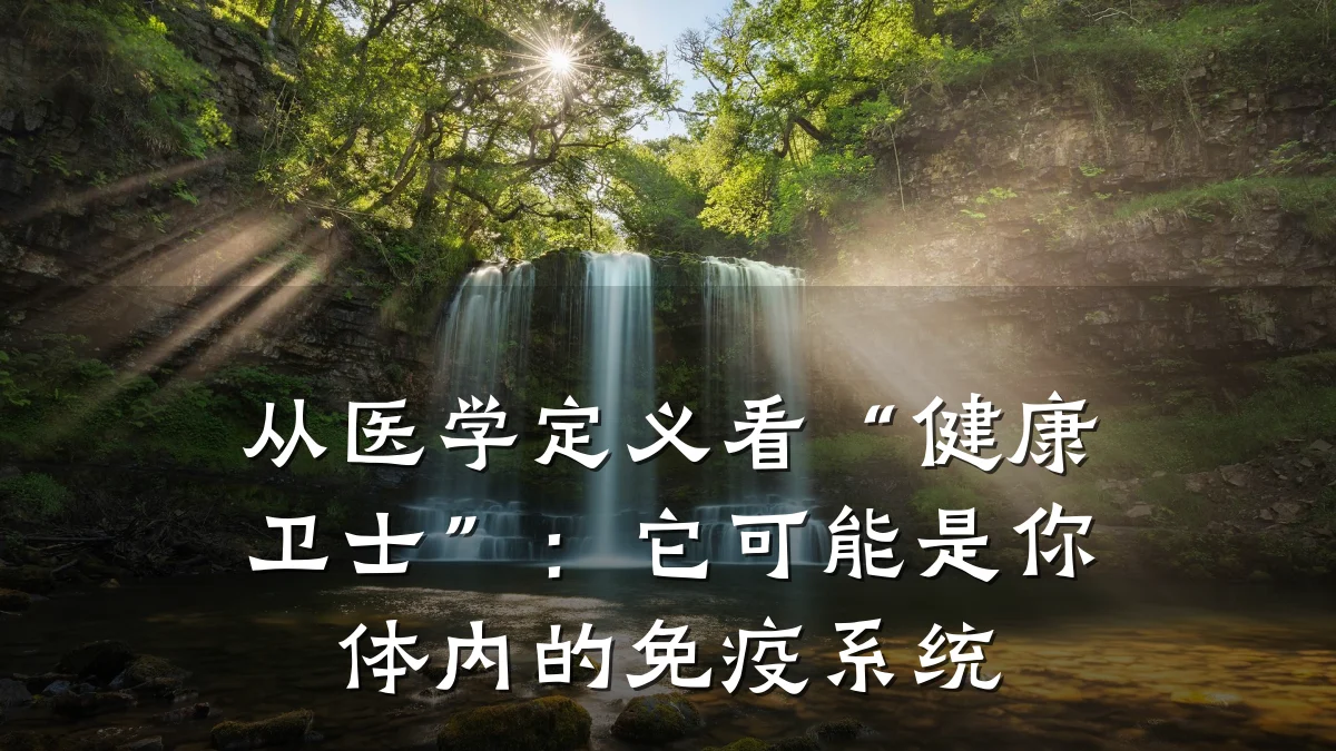 从医学定义看“健康卫士”:它可能是你体内的免疫系统