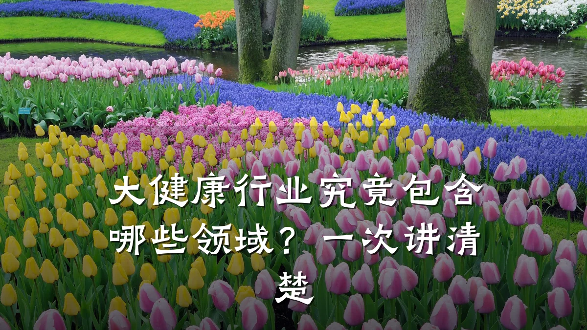 大健康行业究竟包含哪些领域?一次讲清楚