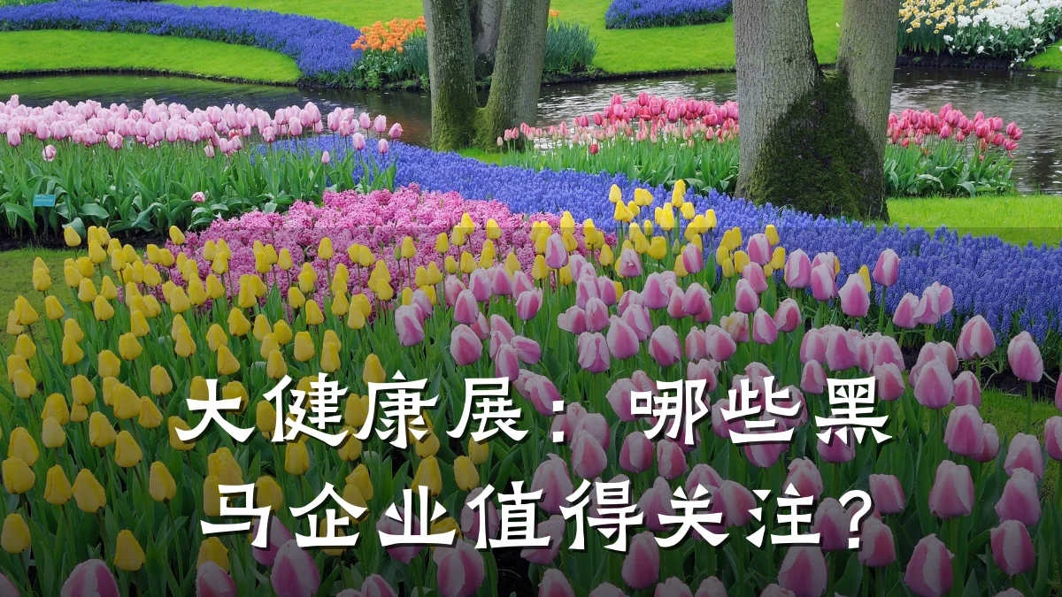 大健康展:哪些黑马企业值得关注?