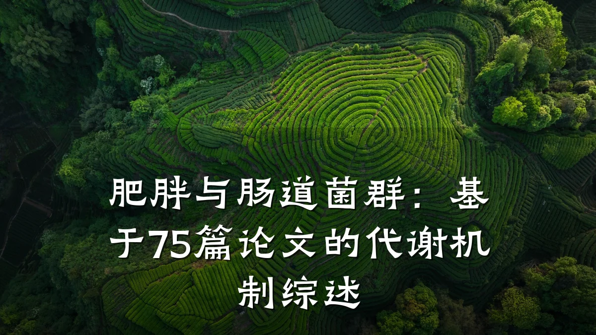 肥胖与肠道菌群:基于75篇论文的代谢机制综述