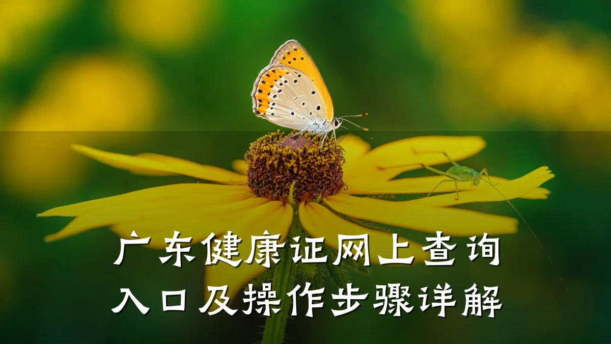 广东健康证网上查询入口及操作步骤详解