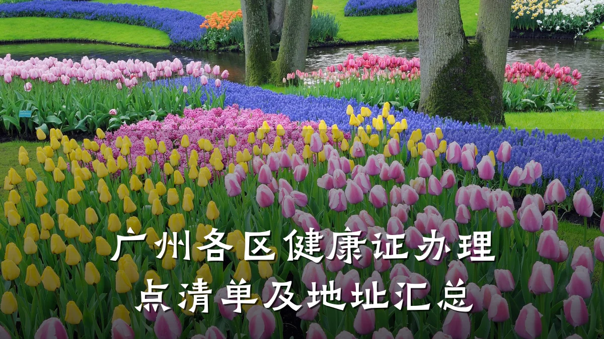 广州各区健康证办理点清单及地址汇总