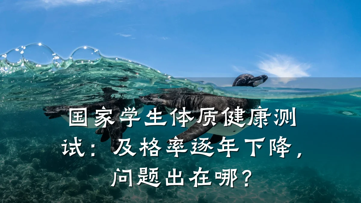 国家学生体质健康测试:及格率逐年下降,问题出在哪?