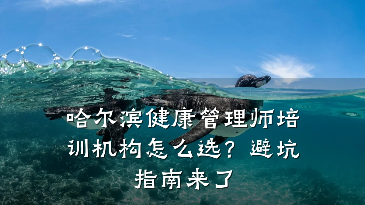 哈尔滨健康管理师培训机构怎么选?避坑指南来了