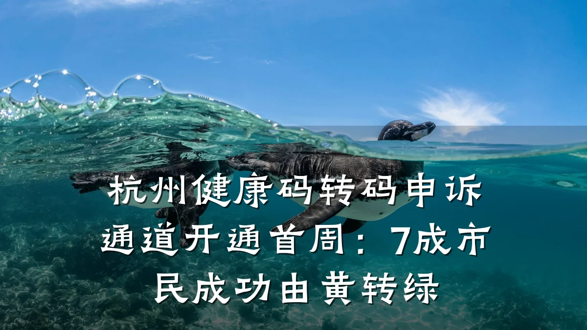 杭州健康码转码申诉通道开通首周:7成市民成功由黄转绿