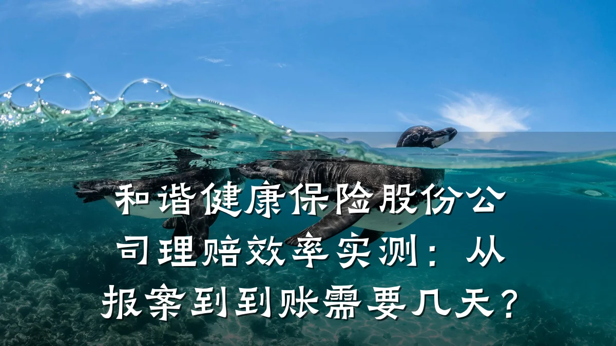和谐健康保险股份公司理赔效率实测:从报案到到账需要几天?
