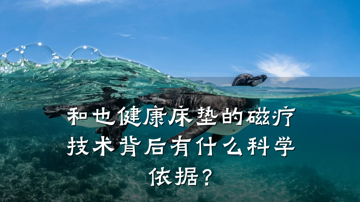 和也健康床垫的磁疗技术背后有什么科学依据?