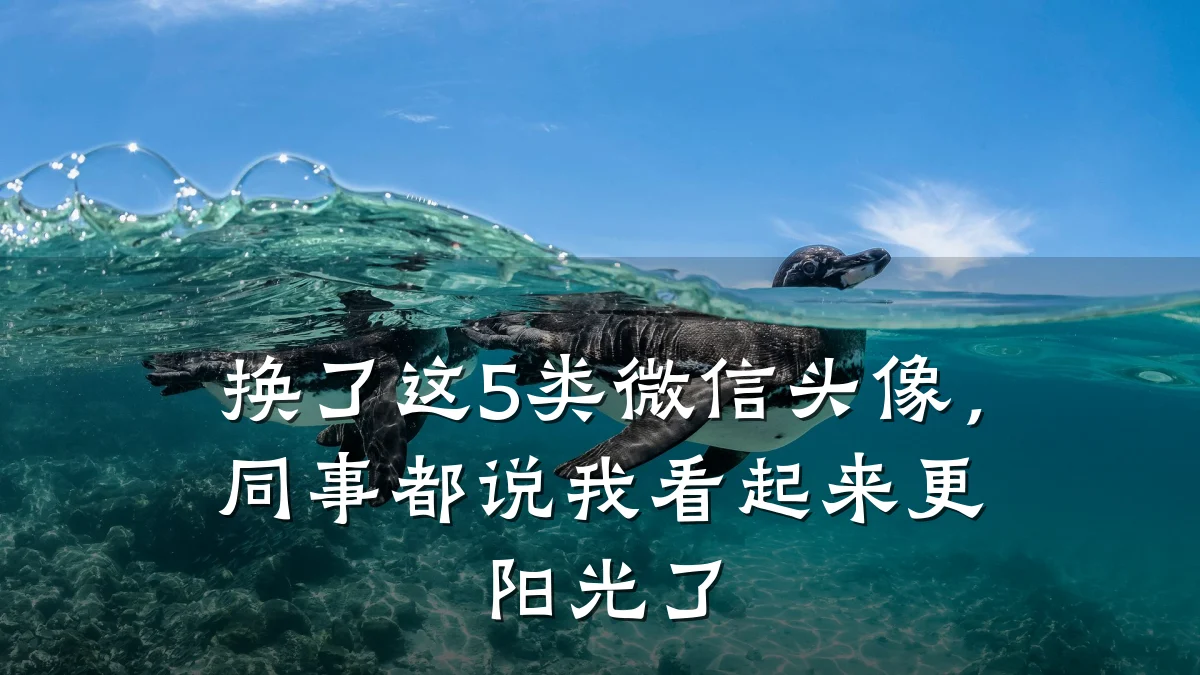 换了这5类微信头像,同事都说我看起来更阳光了