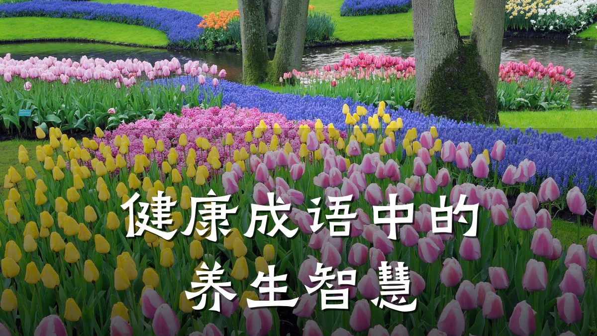 健康成语中的养生智慧