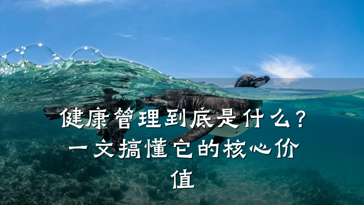 健康管理到底是什么?一文搞懂它的核心价值