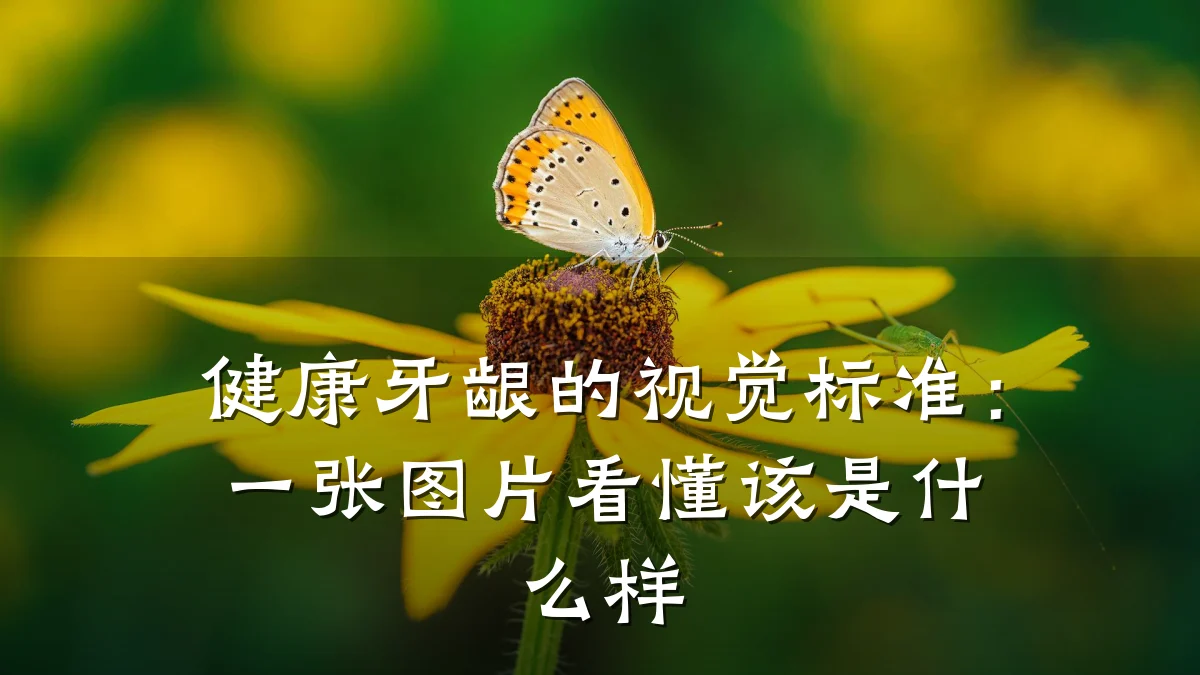 健康牙龈的视觉标准:一张图片看懂该是什么样