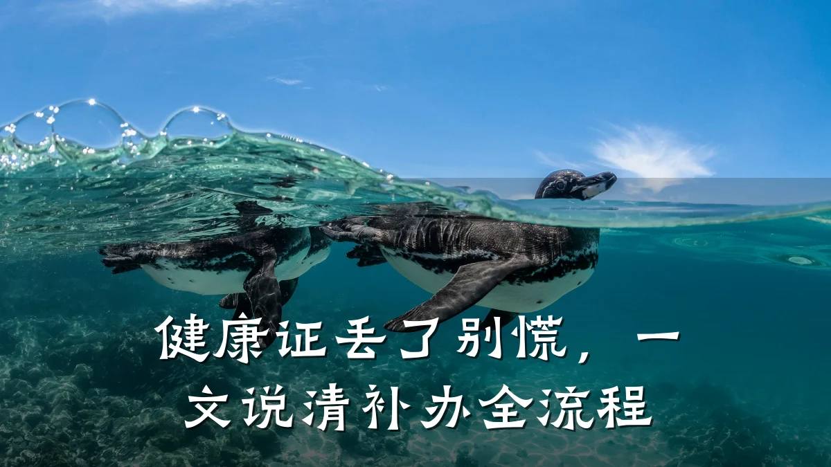 健康证丢了别慌,一文说清补办全流程