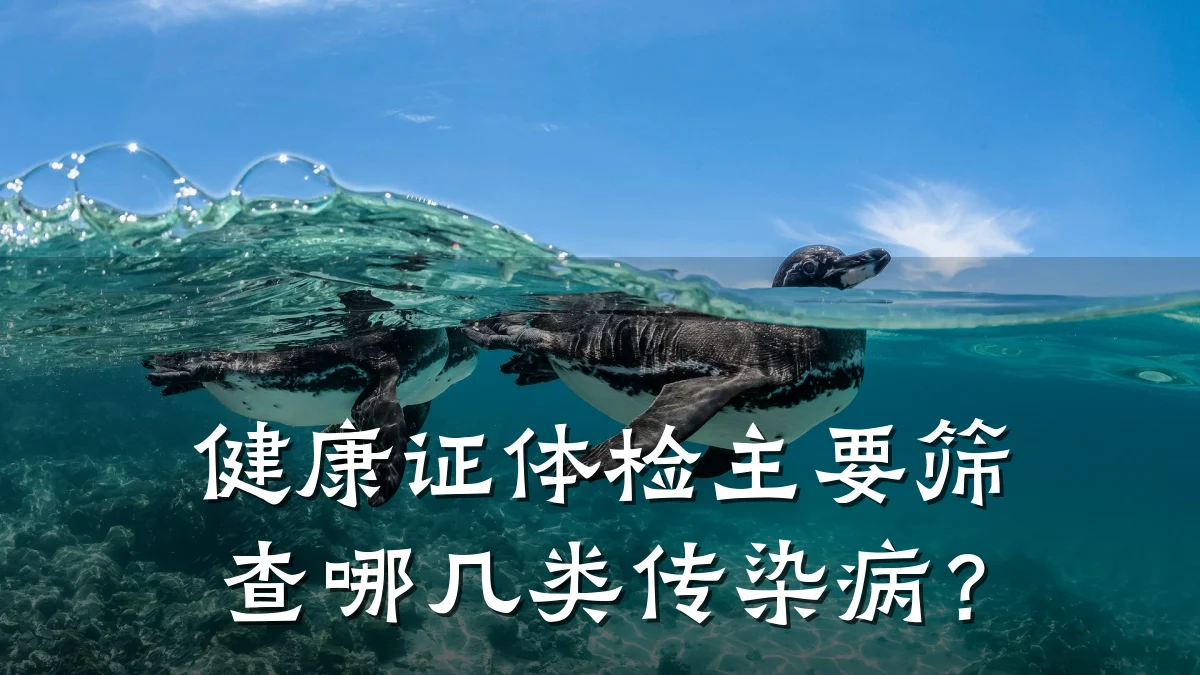 健康证体检主要筛查哪几类传染病?